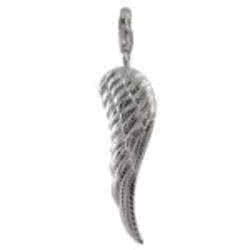 Clip on Charms