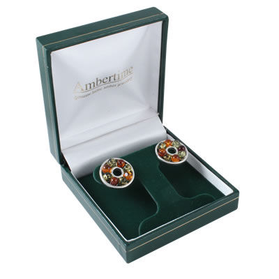 AM4009 Multi Coloured Amber Circles Earrings
