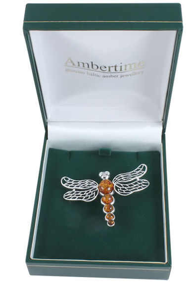 AM797 Large Dragonfly Amber Brooch