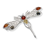 Amber Dragonfly Brooch