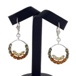 Multi Colour Amber Circles Earrings