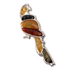 Large Multi Coloured Amber Parrot Brooch