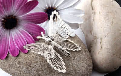 Silver Butterfly Jewellery