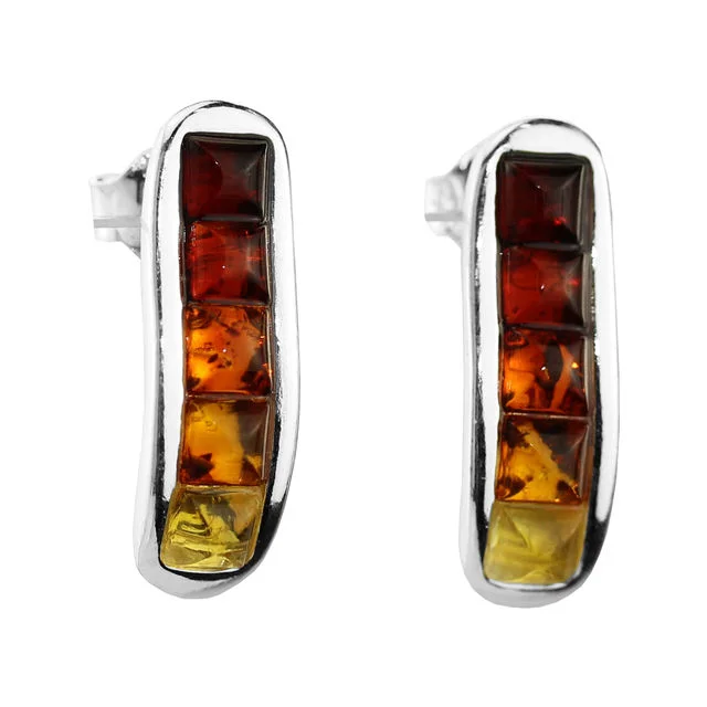 Graduating Multicoloured Baltic Amber Stud Earrings