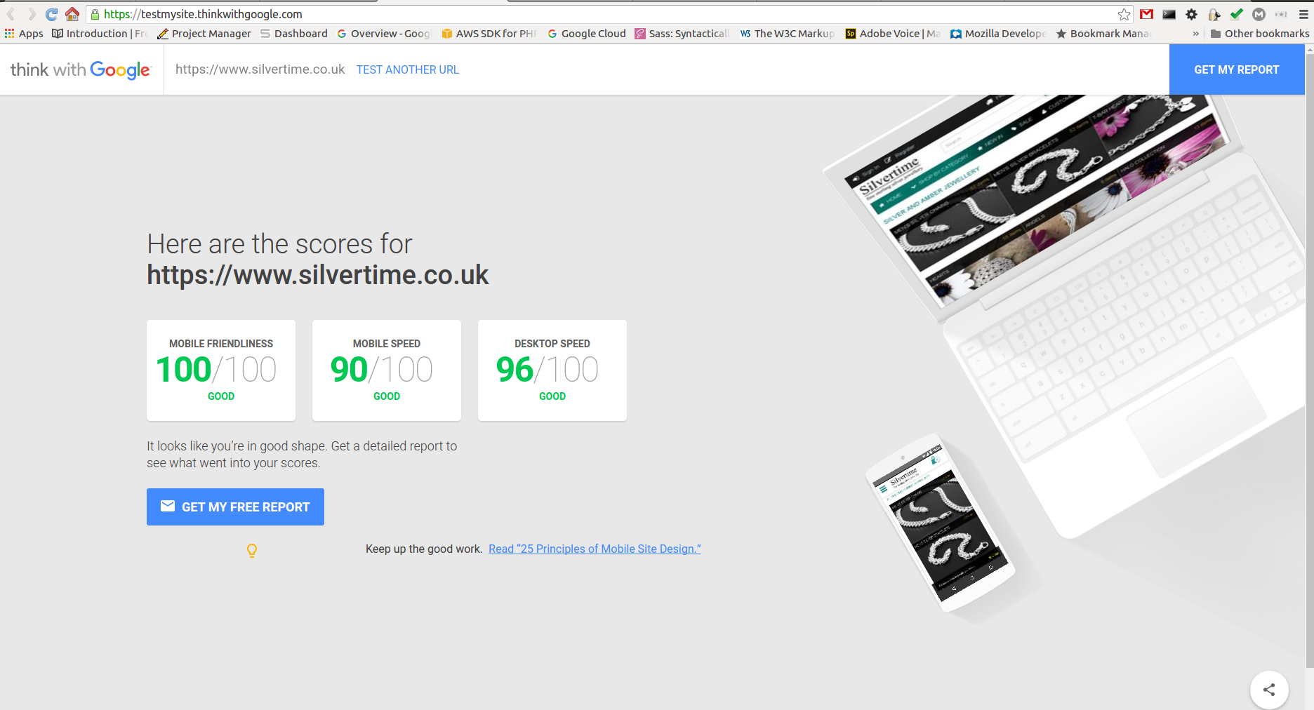 Google Page Speed and Mobile Friendliness Testing for Silvertime Jewellery